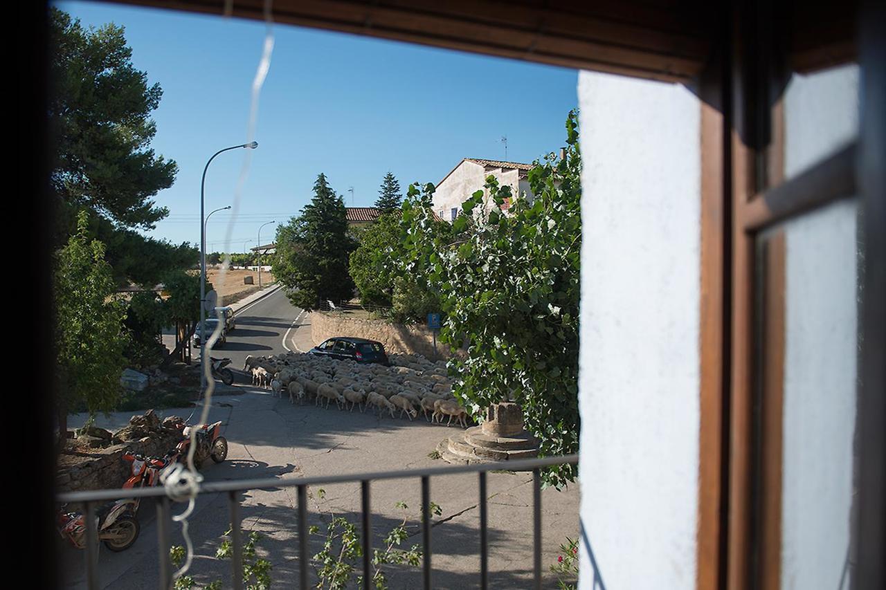 Crux Albergue Adahuesca Exteriör bild